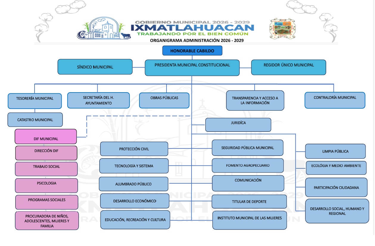 organigrama modif